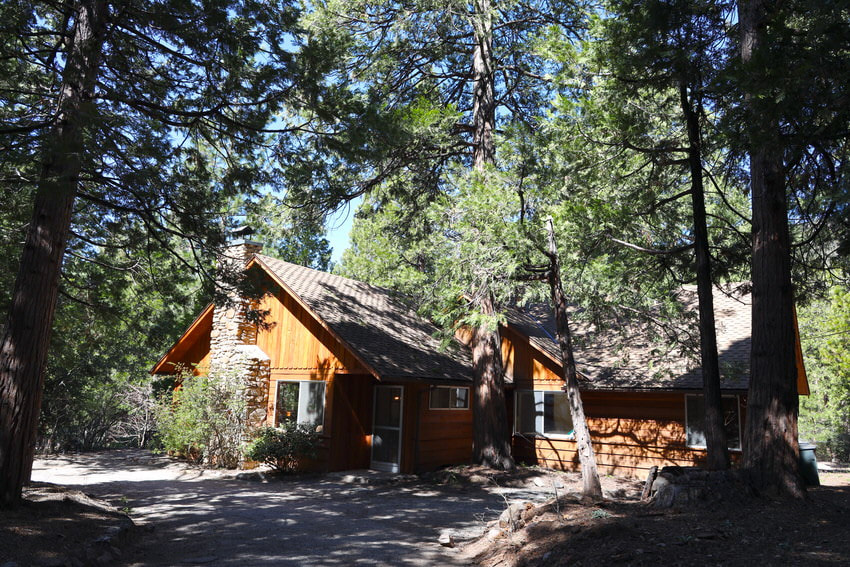 Loy's Cabin in the Pines